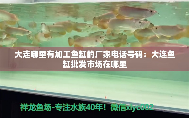 大連哪里有加工魚缸的廠家電話號(hào)碼：大連魚缸批發(fā)市場(chǎng)在哪里 廣州水族批發(fā)市場(chǎng)