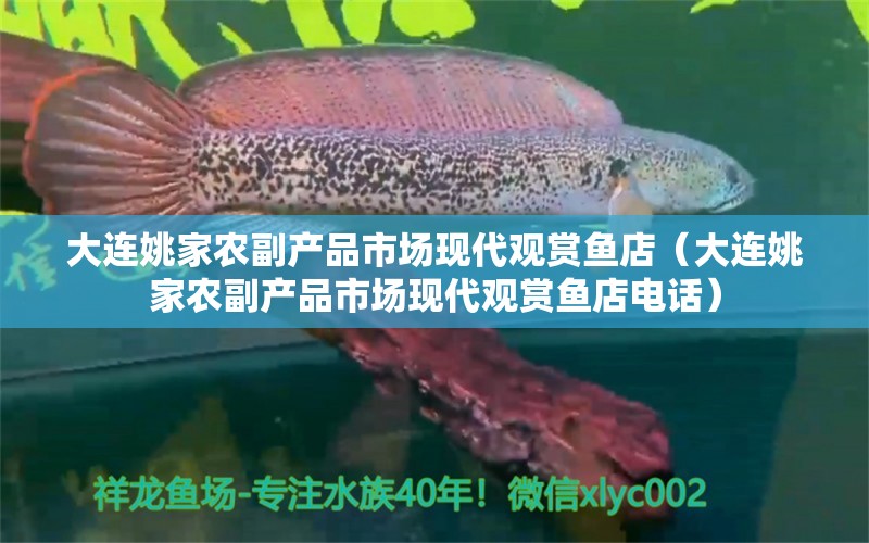 大連姚家農(nóng)副產(chǎn)品市場現(xiàn)代觀賞魚店（大連姚家農(nóng)副產(chǎn)品市場現(xiàn)代觀賞魚店電話） 全國水族館企業(yè)名錄