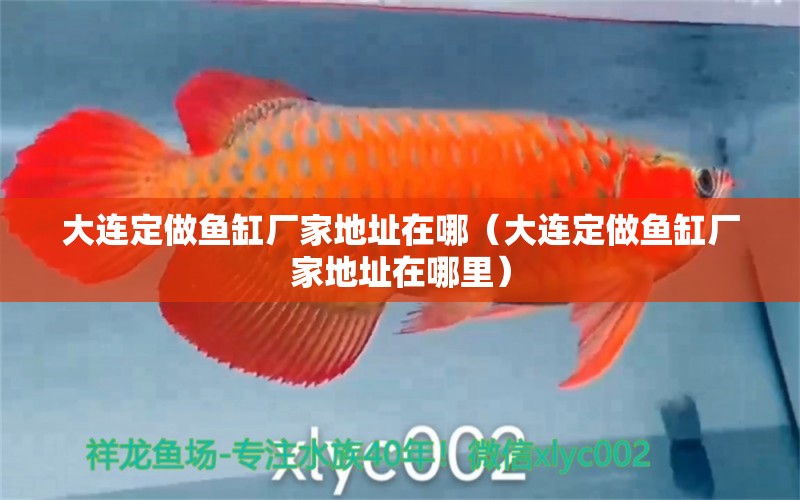 大連定做魚缸廠家地址在哪（大連定做魚缸廠家地址在哪里）