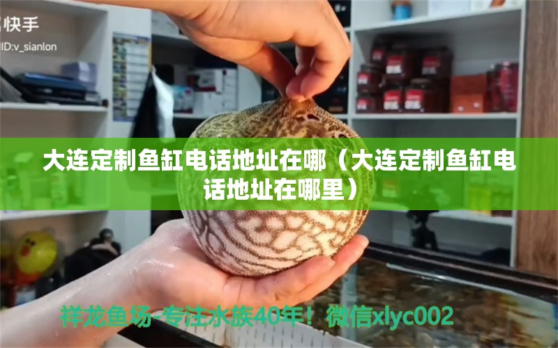 大連定制魚缸電話地址在哪（大連定制魚缸電話地址在哪里） 蝴蝶鯉魚苗