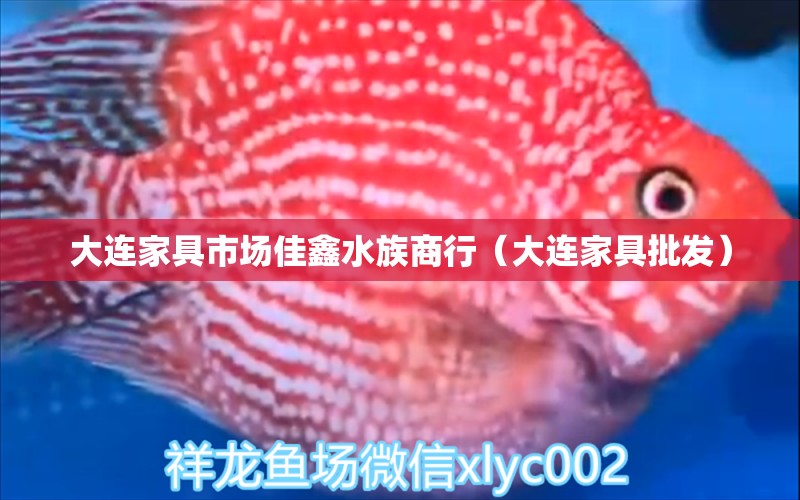 大連家具市場(chǎng)佳鑫水族商行（大連家具批發(fā)）