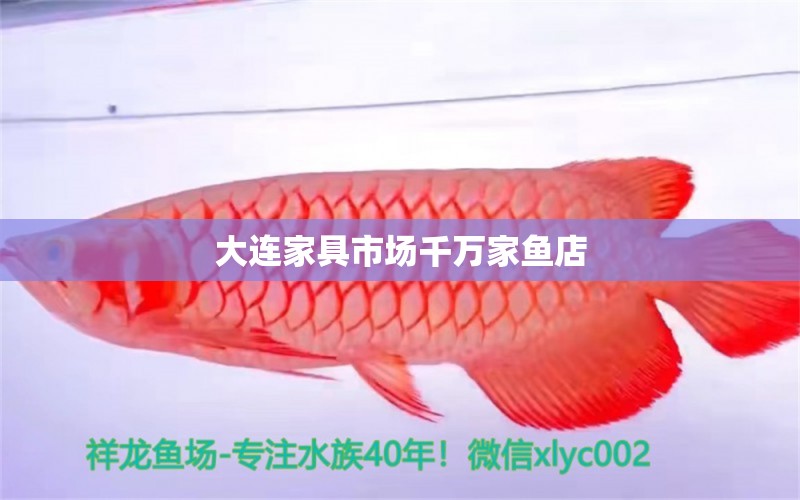 大連家具市場千萬家魚店 全國水族館企業(yè)名錄