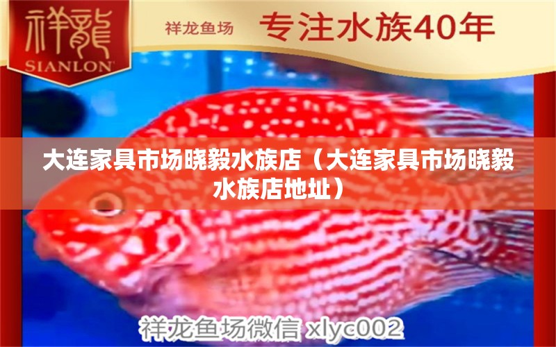 大連家具市場曉毅水族店（大連家具市場曉毅水族店地址） 全國水族館企業(yè)名錄