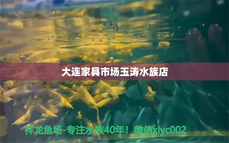 大連家具市場(chǎng)玉濤水族店