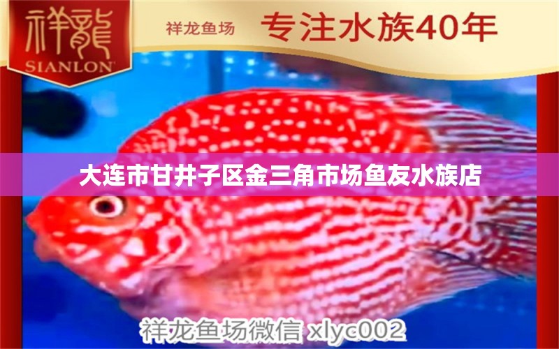 大連市甘井子區(qū)金三角市場魚友水族店