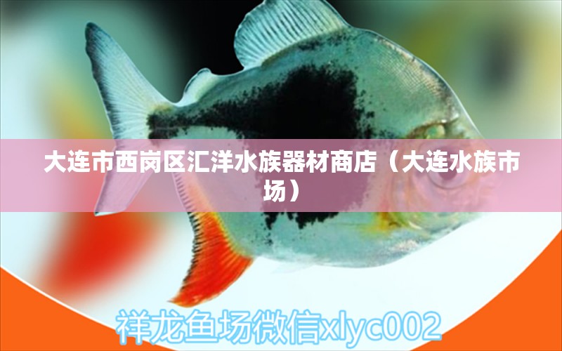 大連市西崗區(qū)匯洋水族器材商店（大連水族市場(chǎng)）