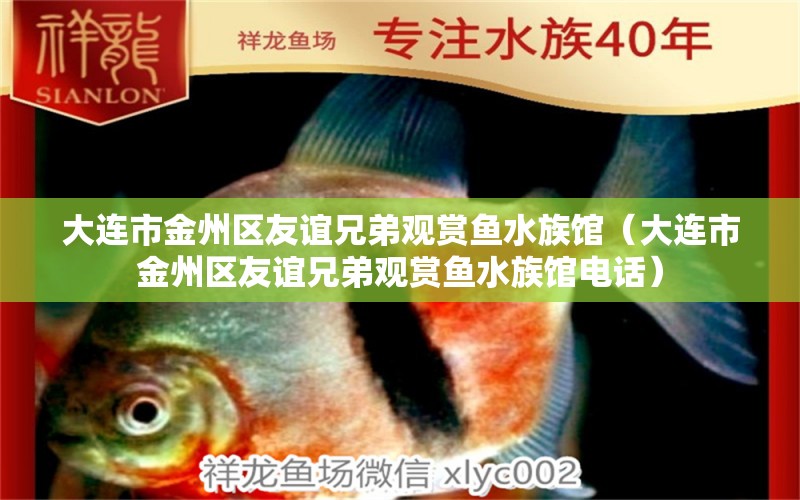 大連市金州區(qū)友誼兄弟觀賞魚水族館（大連市金州區(qū)友誼兄弟觀賞魚水族館電話）