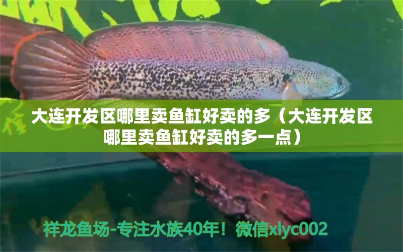 大連開發(fā)區(qū)哪里賣魚缸好賣的多（大連開發(fā)區(qū)哪里賣魚缸好賣的多一點）