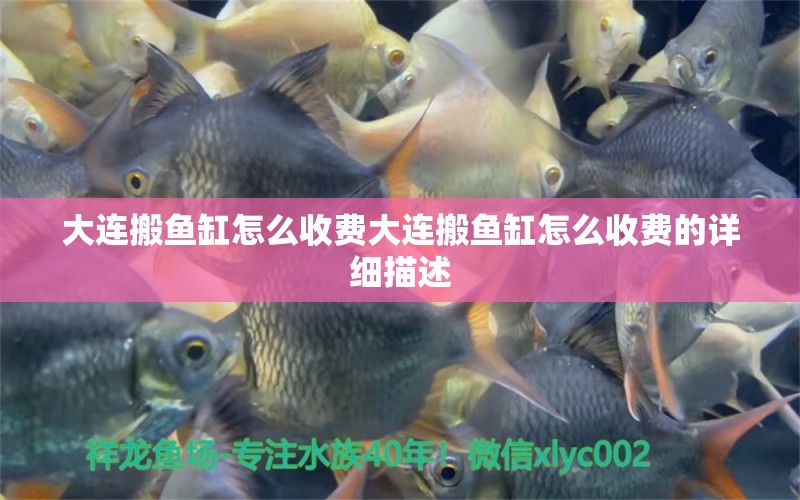 大連搬魚缸怎么收費大連搬魚缸怎么收費的詳細描述