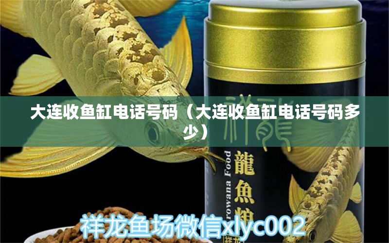 大連收魚(yú)缸電話號(hào)碼（大連收魚(yú)缸電話號(hào)碼多少）