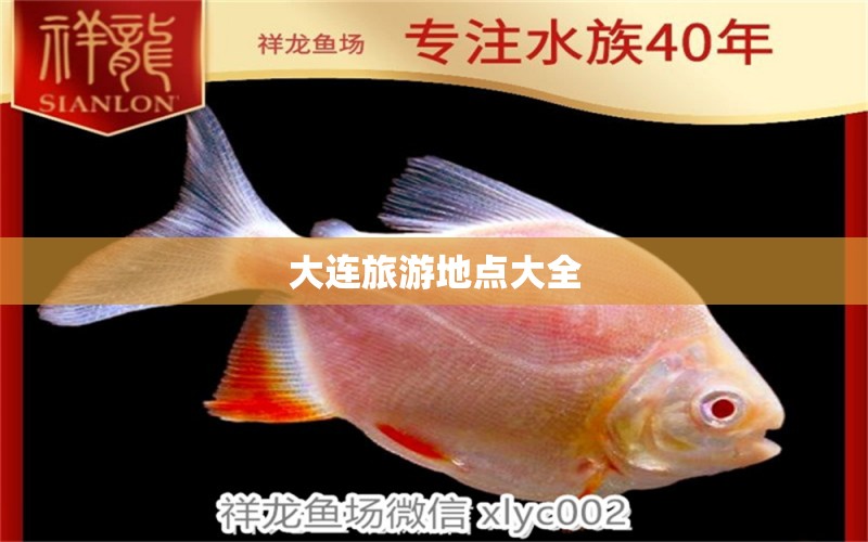 大連旅游地點大全 觀賞魚市場（混養(yǎng)魚）