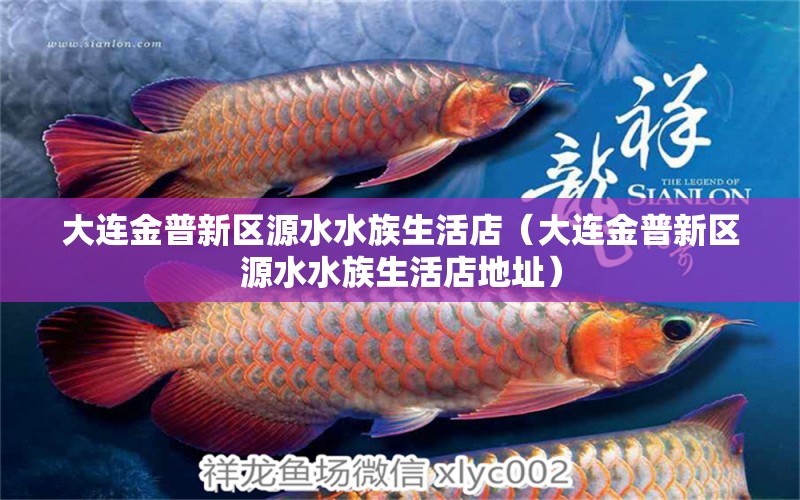 大連金普新區(qū)源水水族生活店（大連金普新區(qū)源水水族生活店地址） 全國水族館企業(yè)名錄