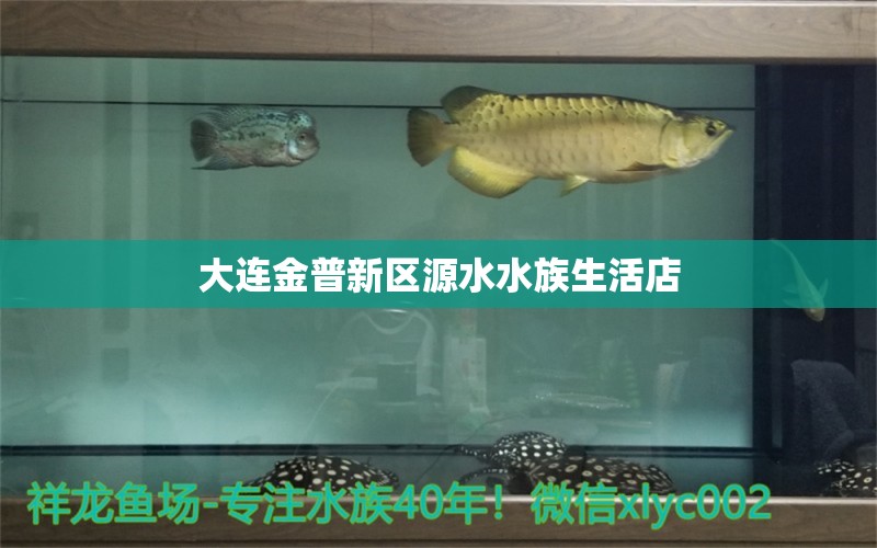 大連金普新區(qū)源水水族生活店