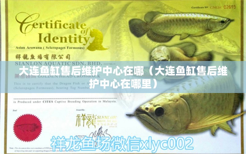 大連魚缸售后維護中心在哪（大連魚缸售后維護中心在哪里）