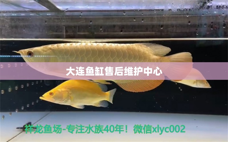 大連魚缸售后維護(hù)中心 其他品牌魚缸