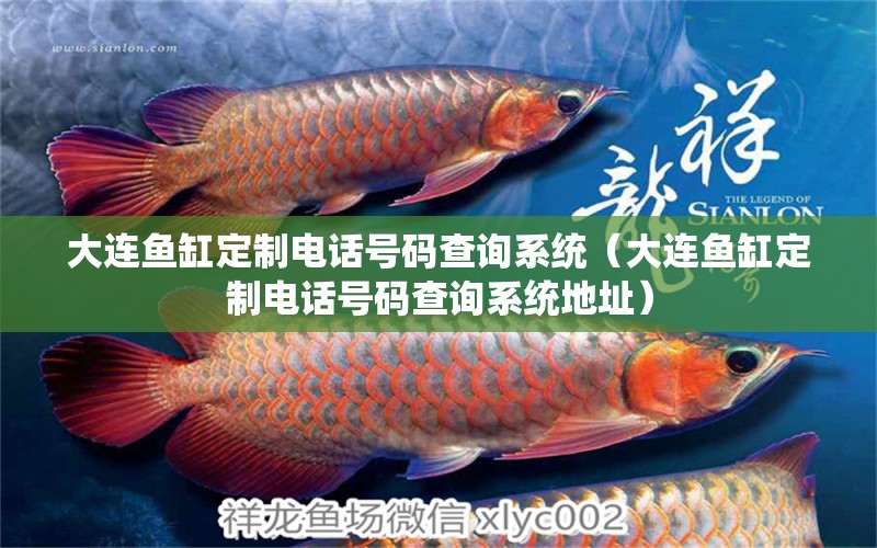 大連魚缸定制電話號(hào)碼查詢系統(tǒng)（大連魚缸定制電話號(hào)碼查詢系統(tǒng)地址）