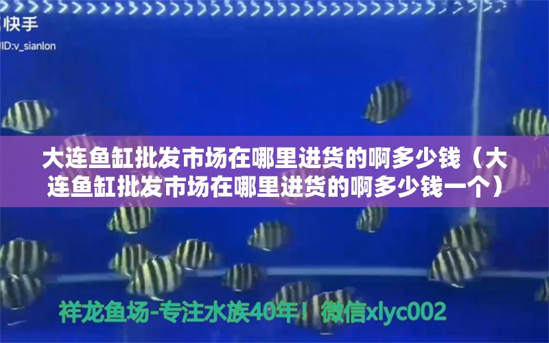 大連魚缸批發(fā)市場在哪里進(jìn)貨的啊多少錢（大連魚缸批發(fā)市場在哪里進(jìn)貨的啊多少錢一個(gè)）