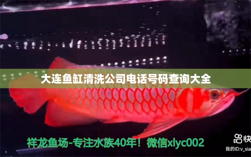 大連魚缸清洗公司電話號(hào)碼查詢大全 祥龍魚場