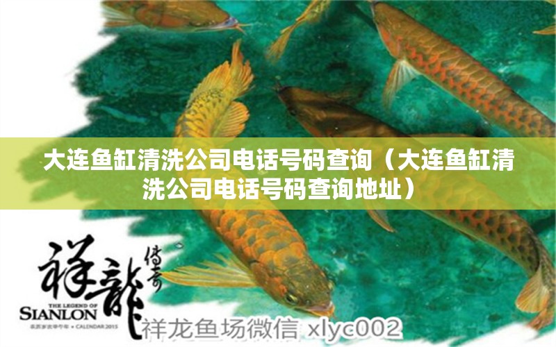 大連魚(yú)缸清洗公司電話號(hào)碼查詢（大連魚(yú)缸清洗公司電話號(hào)碼查詢地址）