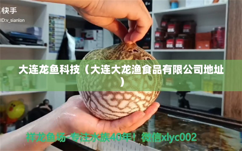 大連龍魚科技（大連大龍漁食品有限公司地址）