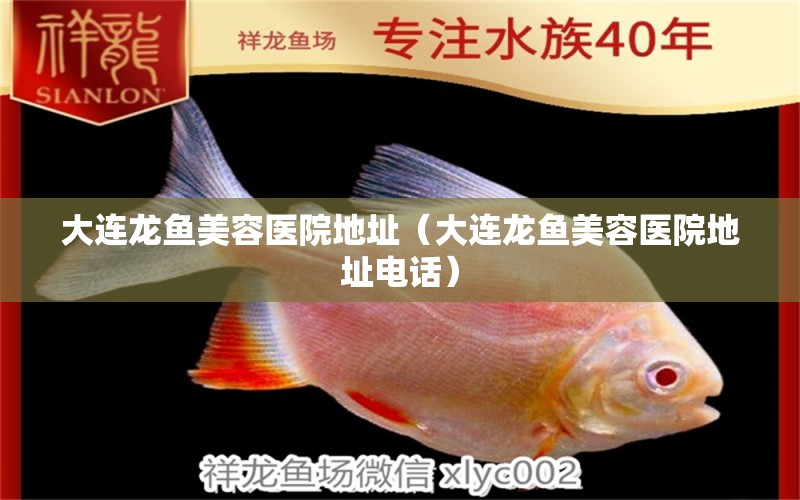 大連龍魚(yú)美容醫(yī)院地址（大連龍魚(yú)美容醫(yī)院地址電話）