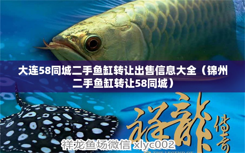 大連58同城二手魚缸轉(zhuǎn)讓出售信息大全（錦州二手魚缸轉(zhuǎn)讓58同城）