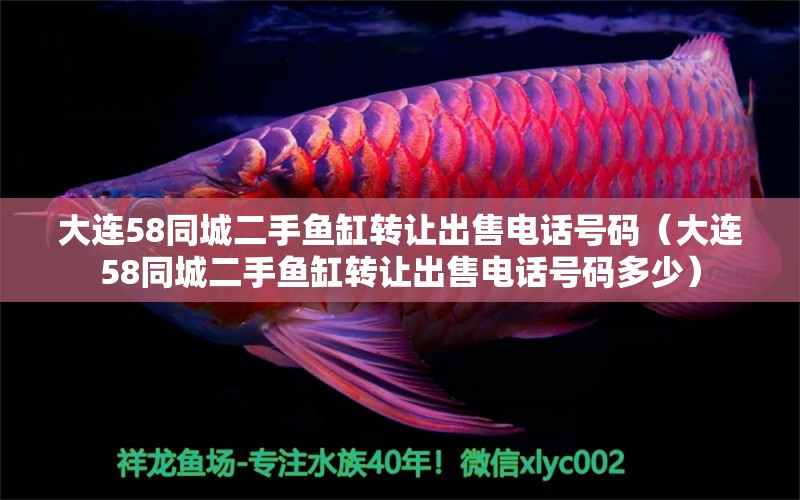 大連58同城二手魚(yú)缸轉(zhuǎn)讓出售電話(huà)號(hào)碼（大連58同城二手魚(yú)缸轉(zhuǎn)讓出售電話(huà)號(hào)碼多少）