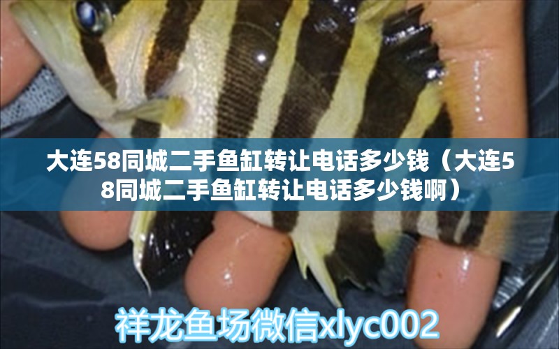 大連58同城二手魚缸轉讓電話多少錢（大連58同城二手魚缸轉讓電話多少錢?。? title=