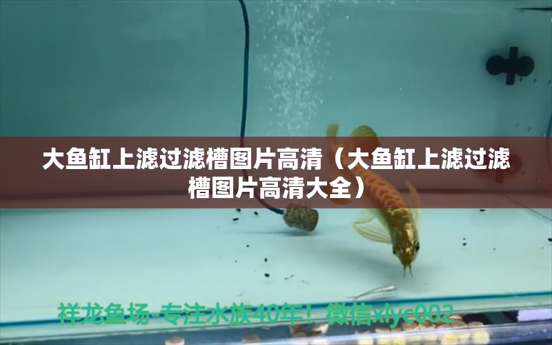 大魚(yú)缸上濾過(guò)濾槽圖片高清（大魚(yú)缸上濾過(guò)濾槽圖片高清大全）