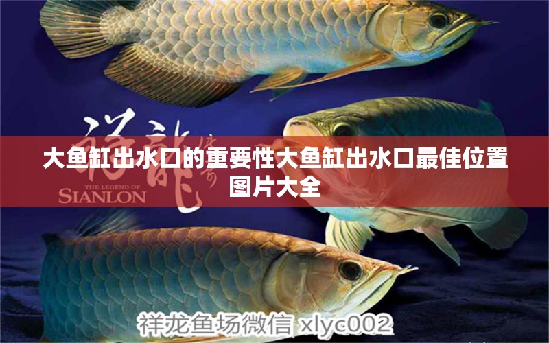 大魚缸出水口的重要性大魚缸出水口最佳位置圖片大全