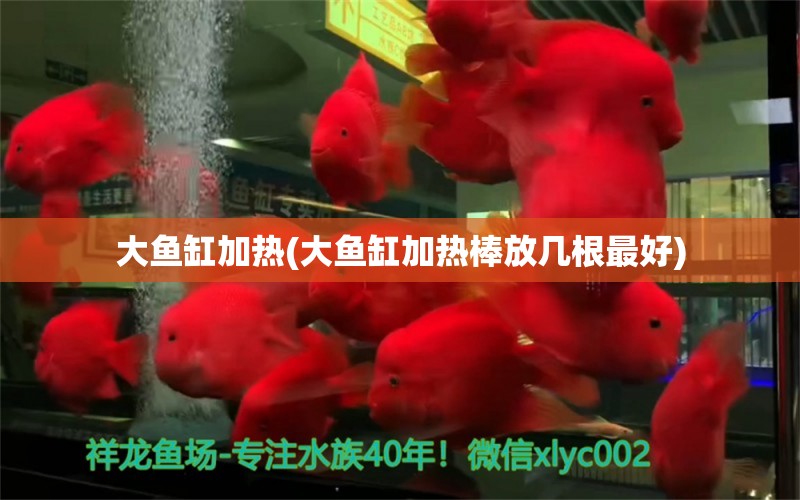 大魚缸加熱(大魚缸加熱棒放幾根最好)