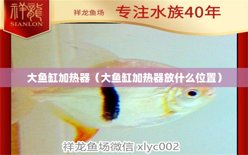 大魚缸加熱器（大魚缸加熱器放什么位置）