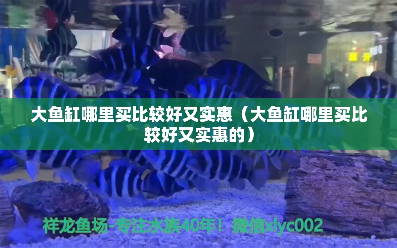 大魚缸哪里買比較好又實惠（大魚缸哪里買比較好又實惠的）