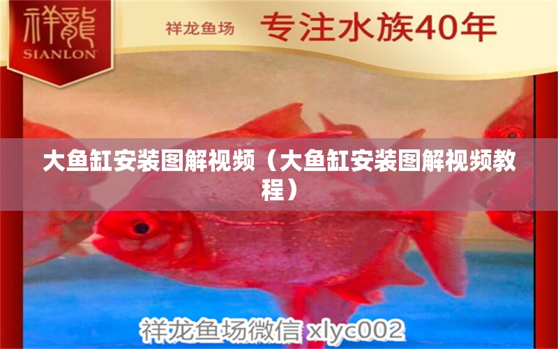 大魚缸安裝圖解視頻（大魚缸安裝圖解視頻教程）