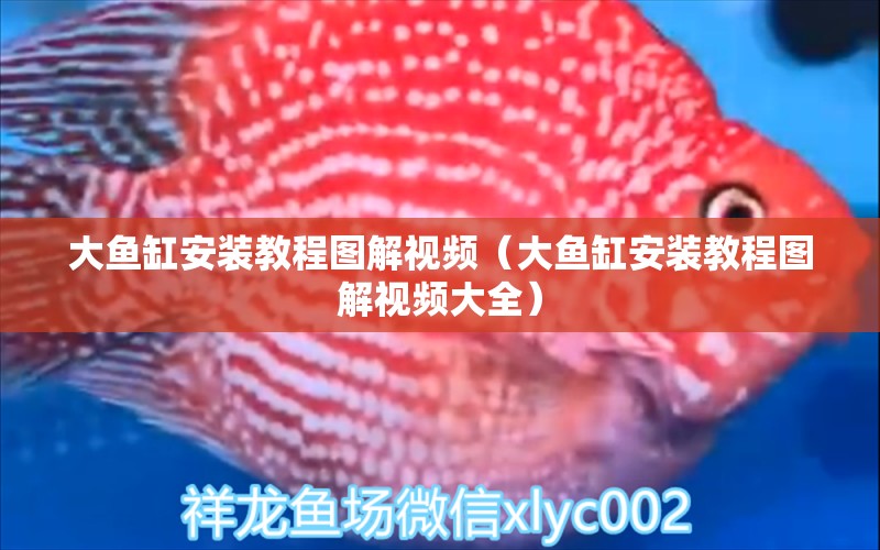 大魚缸安裝教程圖解視頻（大魚缸安裝教程圖解視頻大全）