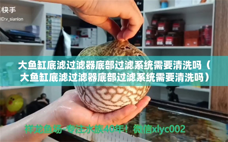 大魚缸底濾過濾器底部過濾系統(tǒng)需要清洗嗎（大魚缸底濾過濾器底部過濾系統(tǒng)需要清洗嗎）