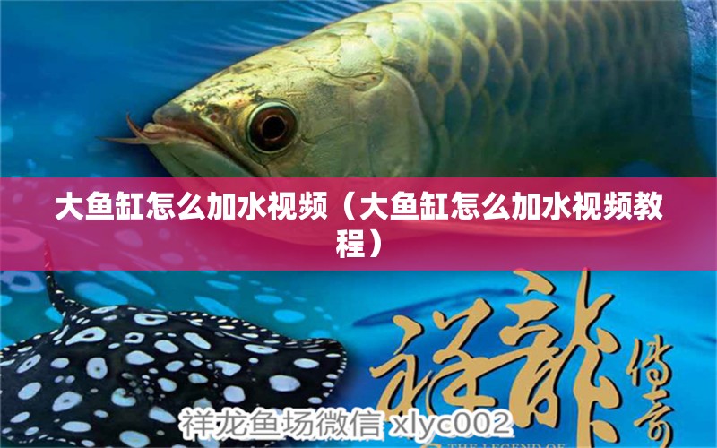 大魚缸怎么加水視頻（大魚缸怎么加水視頻教程）