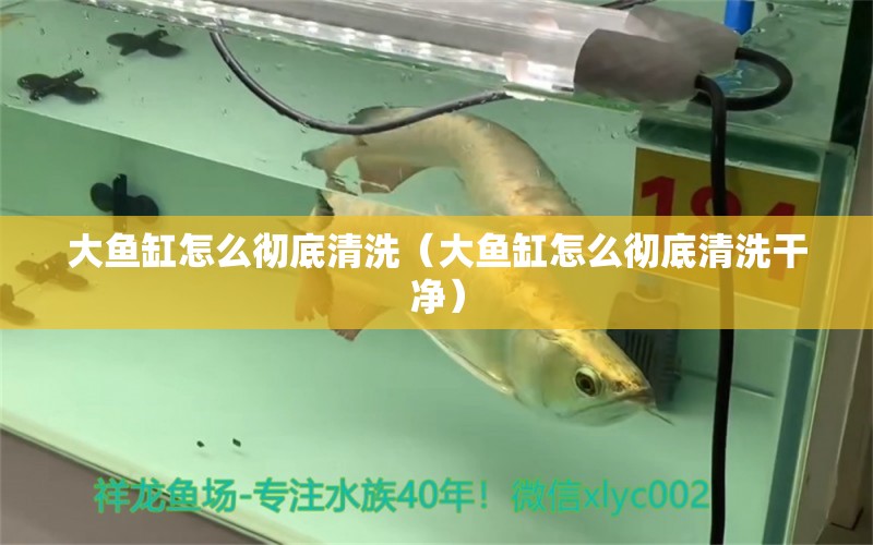 大魚缸怎么徹底清洗（大魚缸怎么徹底清洗干凈）