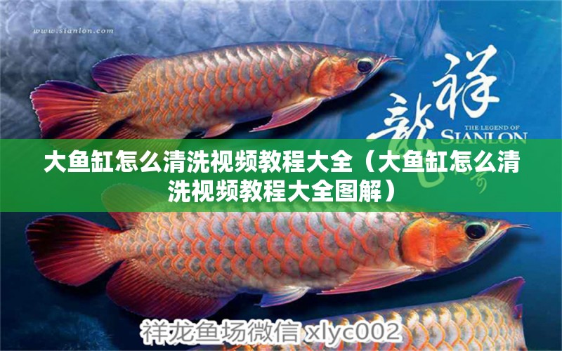 大魚缸怎么清洗視頻教程大全（大魚缸怎么清洗視頻教程大全圖解） 其他品牌魚缸