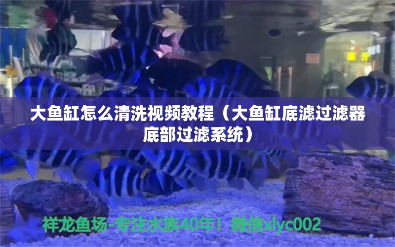 大魚缸怎么清洗視頻教程（大魚缸底濾過濾器底部過濾系統(tǒng)）