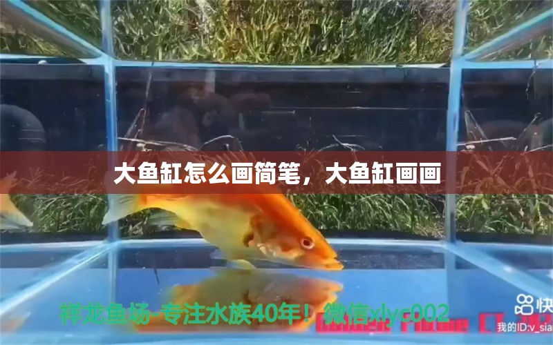 大魚缸怎么畫簡筆，大魚缸畫畫 養(yǎng)魚知識 第1張