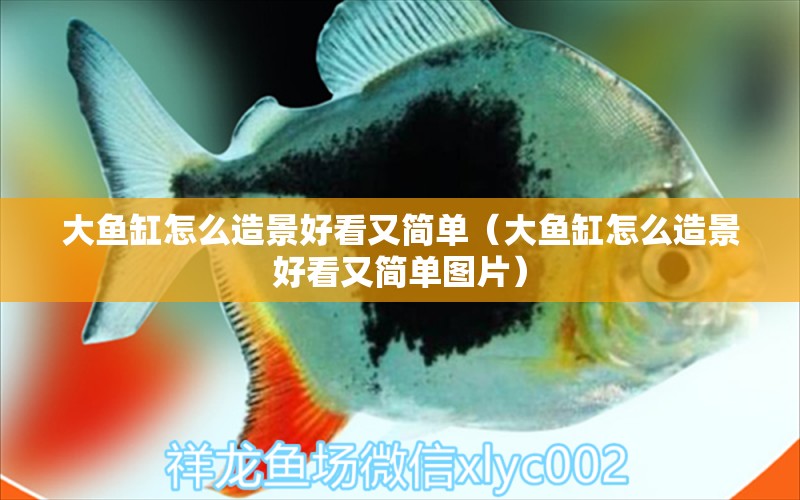 大魚缸怎么造景好看又簡單（大魚缸怎么造景好看又簡單圖片）