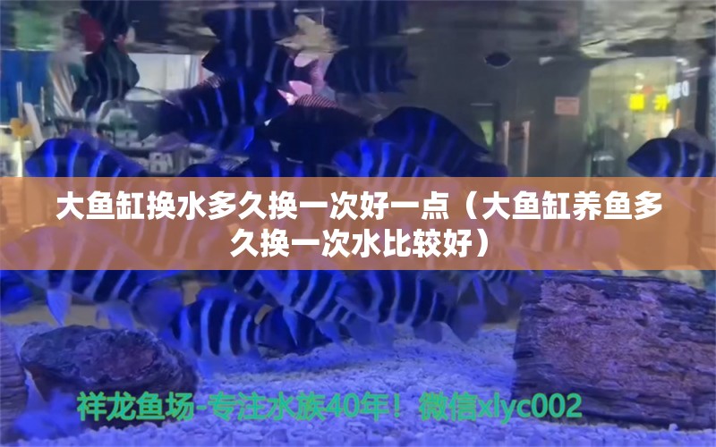 大魚缸換水多久換一次好一點（大魚缸養(yǎng)魚多久換一次水比較好）