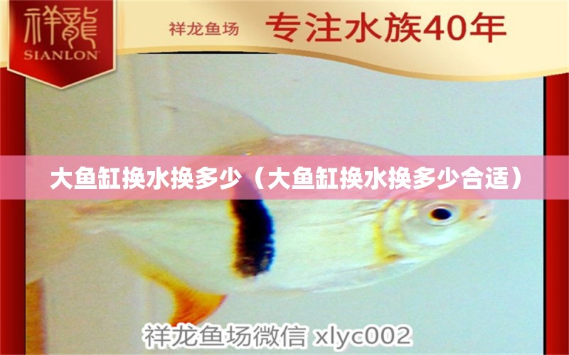 大魚缸換水換多少（大魚缸換水換多少合適） 祥龍水族醫(yī)院