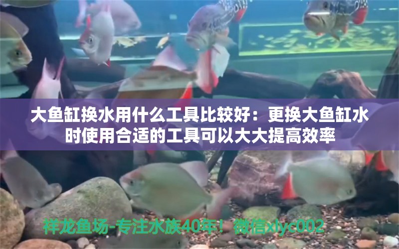 大魚缸換水用什么工具比較好：更換大魚缸水時使用合適的工具可以大大提高效率 魚缸百科 第2張