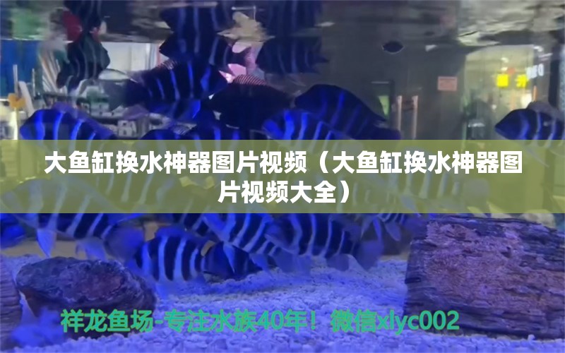 大魚(yú)缸換水神器圖片視頻（大魚(yú)缸換水神器圖片視頻大全）