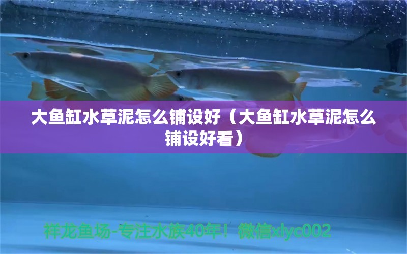 大魚(yú)缸水草泥怎么鋪設(shè)好（大魚(yú)缸水草泥怎么鋪設(shè)好看）