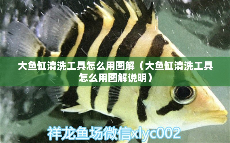 大魚缸清洗工具怎么用圖解（大魚缸清洗工具怎么用圖解說明） 祥龍龍魚魚糧