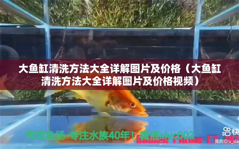 大魚缸清洗方法大全詳解圖片及價(jià)格（大魚缸清洗方法大全詳解圖片及價(jià)格視頻）