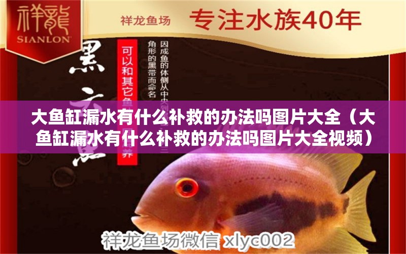 大魚缸漏水有什么補救的辦法嗎圖片大全（大魚缸漏水有什么補救的辦法嗎圖片大全視頻）